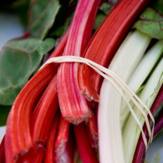 How To Freeze Fresh Swiss Chard | www.deliciousobsessions.com