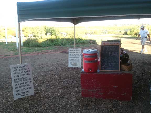 Check In Stand at Berry Patch Farms Farmhouse - Brighton, CO