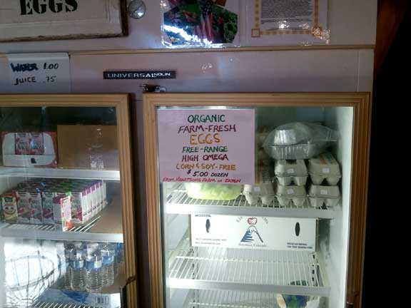 Organic Free range eggs, corn and soy free, at Berry Patch Farms - Brighton, CO