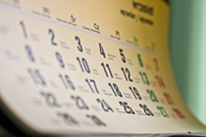 Keep a calendar to track your ferments