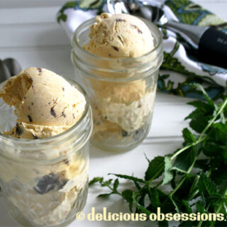 Mint chocolate chip ice cream recipe - dairy and dairy-free versions
