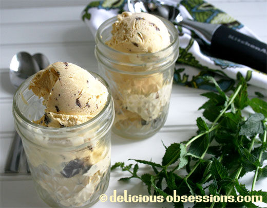 Mint chocolate chip ice cream recipe - dairy and dairy-free versions
