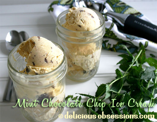 Mint Chocolate Chip Ice Cream Recipe (dairy and dairy-free versions) | www.deliciousobsessions.com