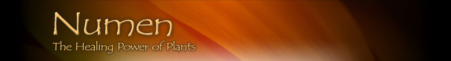 numen_banner_black