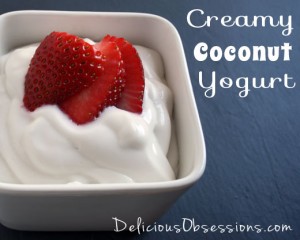 Creamy Coconut Milk Yogurt Recipe | deliciousbosessions.com