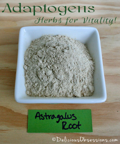 Adaptogens: Herbs for Vitality – Astragalus Root