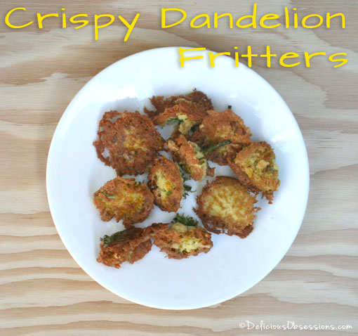 The Dandy Dandelion Health Benefits and Dandelion Flower Fritters | deliciousobsessions.com