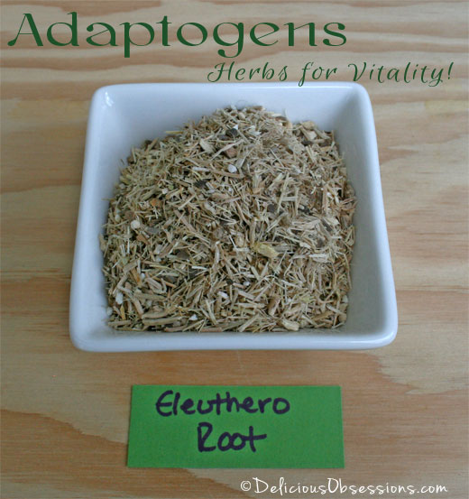 Adaptogens: Herbs for Vitality - Eleuthero Root | deliciousobsessions.com