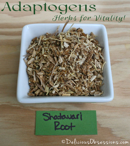 Adaptogens: Herbs for Vitality – Shatavari Root