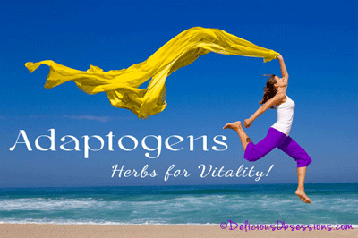 Adaptogens: Herbs for Vitality – An Overview