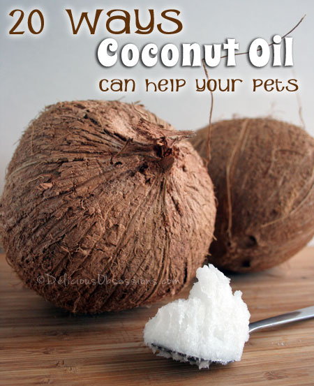 20 Ways Coconut Oil Can Help Your Pets