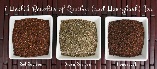 7 Health Benefits of Rooibos (and Honeybush) Tea (plus some delicious recipes!) | deliciousobsessions.com