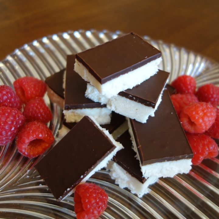 Chocolate Coconut Bars (gluten, grain, dairy free, paleo) // deliciousobsessions.com