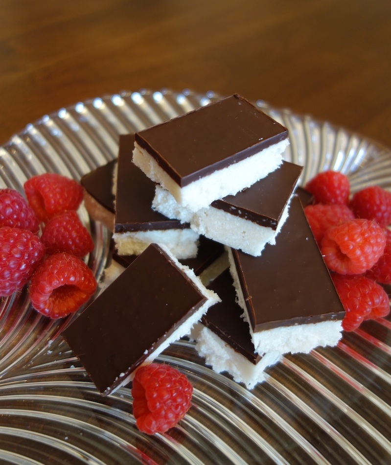 Dark Chocolate Coconut Bars (gluten, grain, dairy free, paleo)