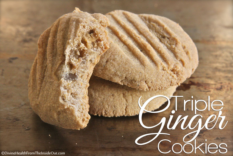 Triple Ginger Cookies (gluten, grain, dairy, seed, and nut free)