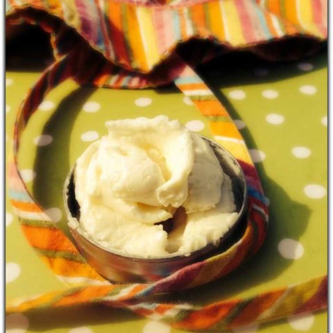 Lightweight, Non-Greasy Homemade Lotion Recipe: Perfect for Summer! // deliciousobsessions.com #diy #lotion #summer #coconutoil