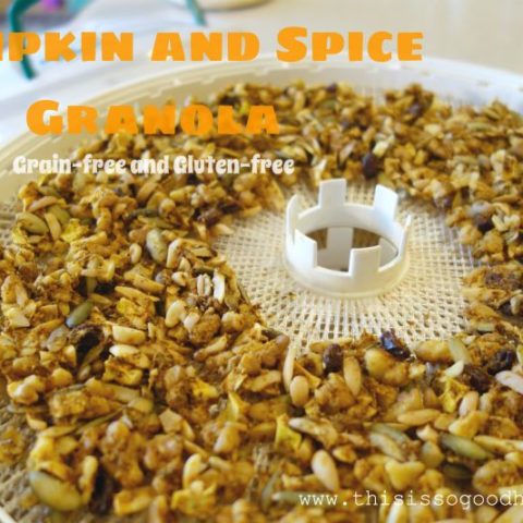 Pumpkin and Spice Granola :: Grain-Free, Gluten-Free, Dairy-Free, Paleo / Primal // deliciousobsessions.com