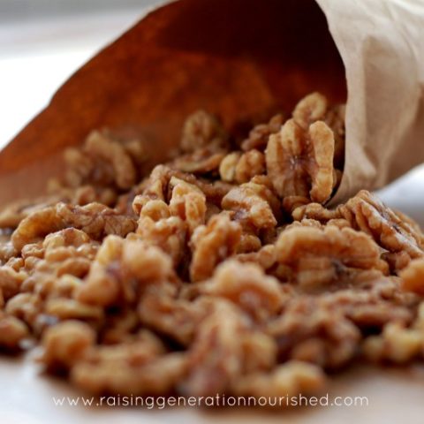 Honey Spiced Walnuts :: Gluten, Grain, and Dairy-Free, Paleo / Primal // deliciousobsessions.com
