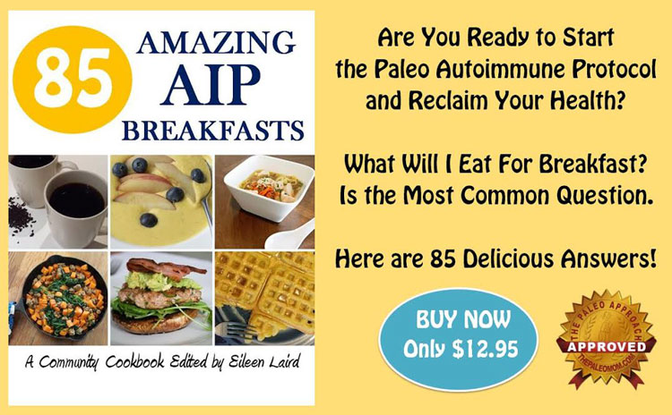 85 Amazing AIP Breakfasts // deliciousobsessions.com