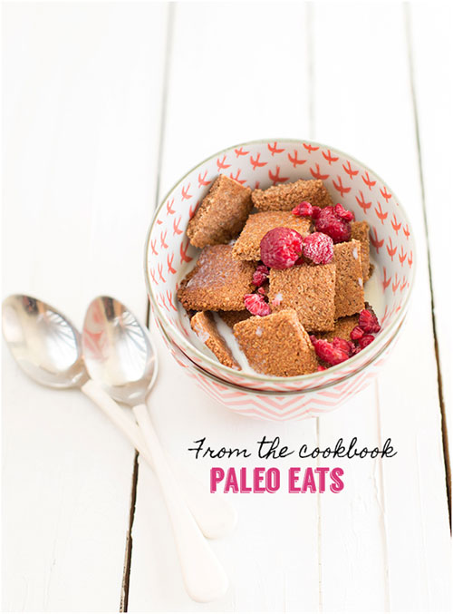 Paleo Coconut Cinnamon Cereal :: Gluten-Free, Grain-Free, Dairy-Free From Paleo Eats // deliciousobsessions.com
