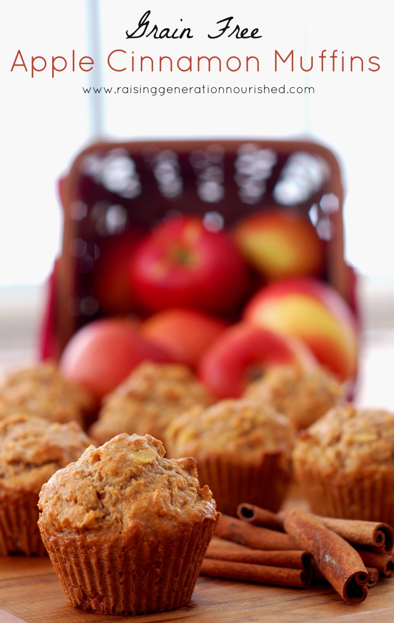 #GrainFree Apple Cinnamon Muffins :: #GlutenFree, #Paleo / #Primal // deliciousobsessions.com