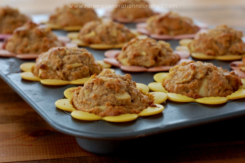 Grain-Free Apple Cinnamon Muffins :: Gluten-Free, Dairy-Free