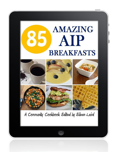 85 Amazing AIP Breakfasts // deliciousobsessions.com