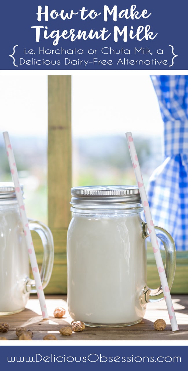 How to Make Tigernut Milk (i.e. Horchata or Chufa Milk, a Delicious Dairy-Free Alternative) // deliciousobsessions.com