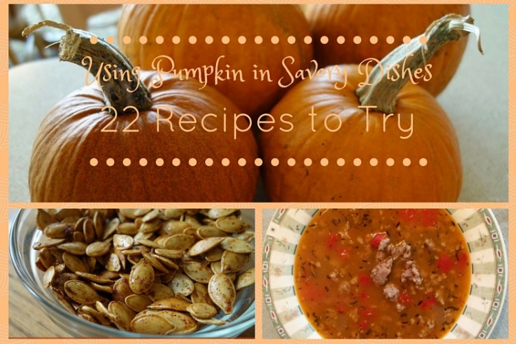 Using Pumpkin in Savory Dishes (22 Recipes to Try)