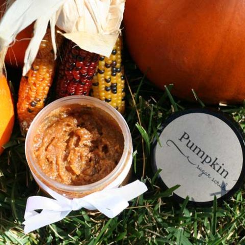 Pumpkin Sugar Scrub Recipe | DeliciousObsessions.com