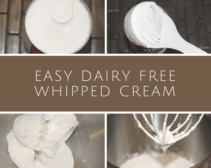 Quick and Easy Dairy-Free Whipped Cream :: Gluten-Free // DeliciousObsessions.com