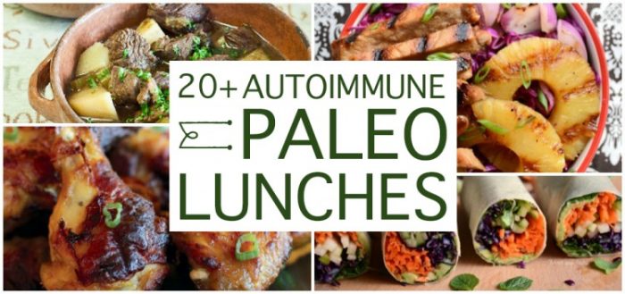 20+ Delicious AIP Lunches