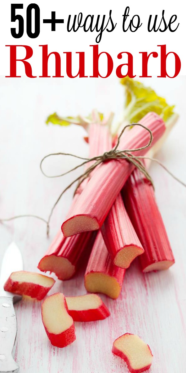 50+ Ways To Use Rhubarb! // deliciousobsessions.com