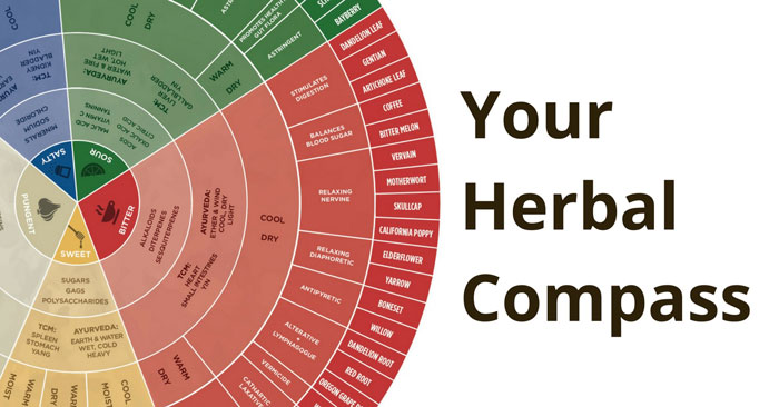 How to Choose Herbs with Confidence // deliciousobsessions.com