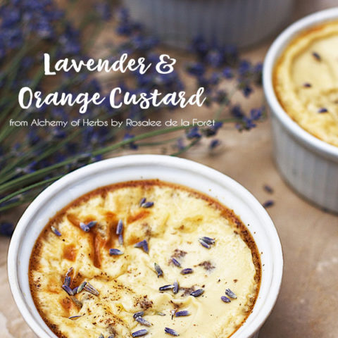 Lavender & Orange Custard :: Gluten-Free, Refined Sugar-Free, Dairy-Free Option