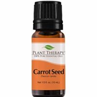 Plant Therapy Carrot Seed Essential Oil 100% Pure, Undiluted, Natural Aromatherapy, Therapeutic Grade 10 mL (1/3 oz)