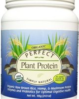 PERFECT Plant Protein - Organic Raw Brown Rice, Hemp & Mushrooms Protein Powder, 705 Grams - Simply Natural flavor