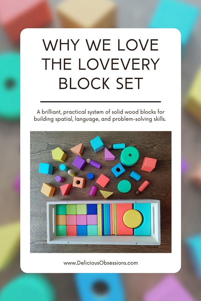 5 Reasons Why Building Blocks Are Good for Toddler Development // deliciousobsessions.com